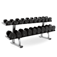 Life Fitness 2-Tier Saddle Dumbbell Rack
