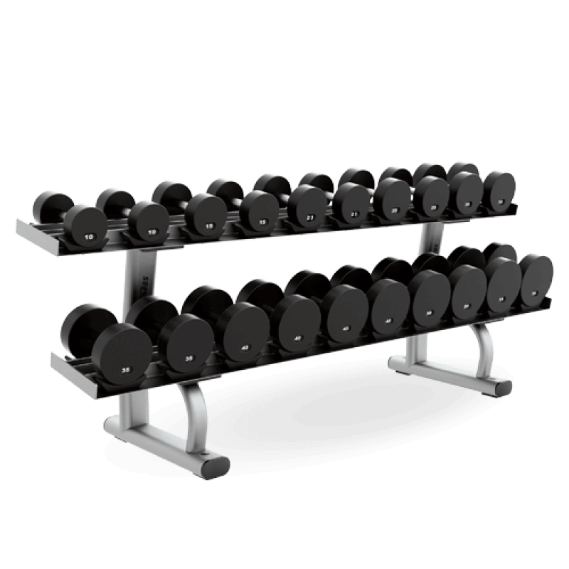 Life Fitness 2-Tier Saddle Dumbbell Rack